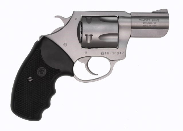 CHARTER ARMS PIT BULL .40 SANDW LARGE 5 SHOT 2.3IN FIXED STANDARD STAINLESS STEEL 74020 - Win Repeating Arms Promotion